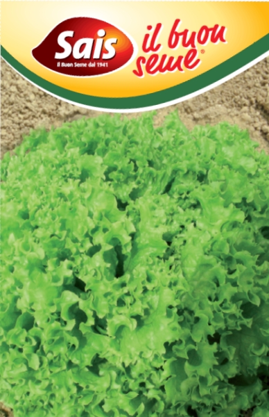 Šalát Lollo Bionda cca 10 g semien